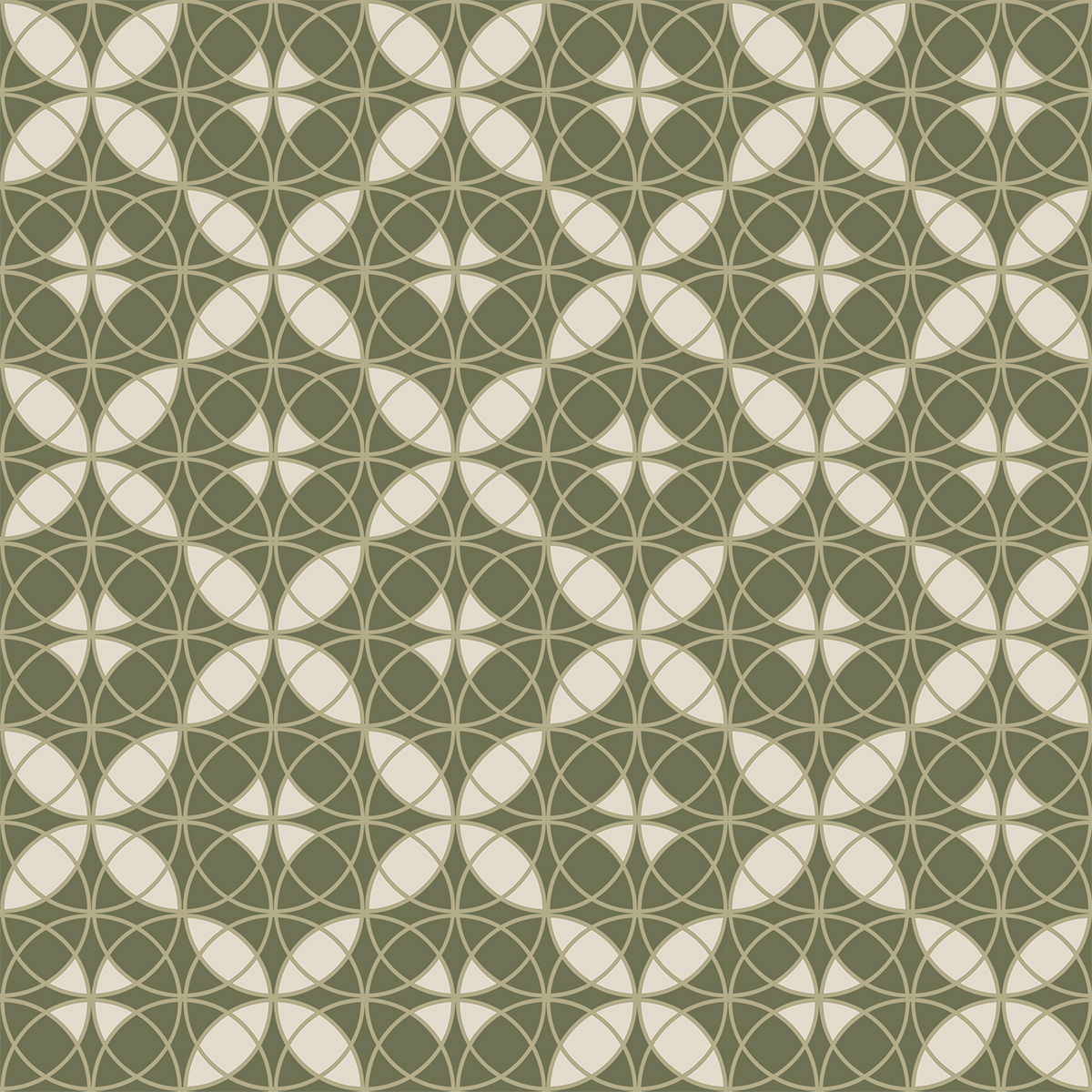 Loden-Green-and-White-Asparagus